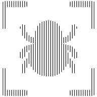 Vulnerability Research