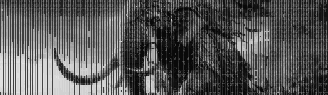 What to expect out of the document